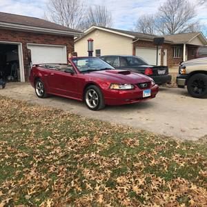 Meet your Posher, Shelli